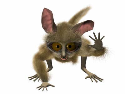 bush baby